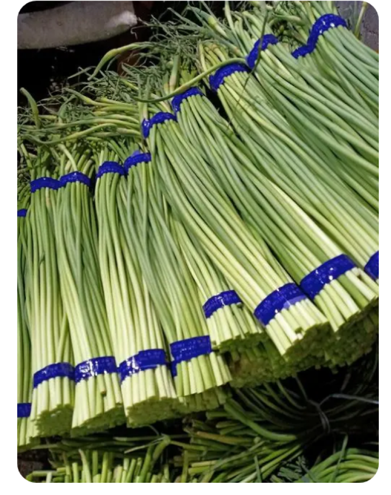 蒜薹