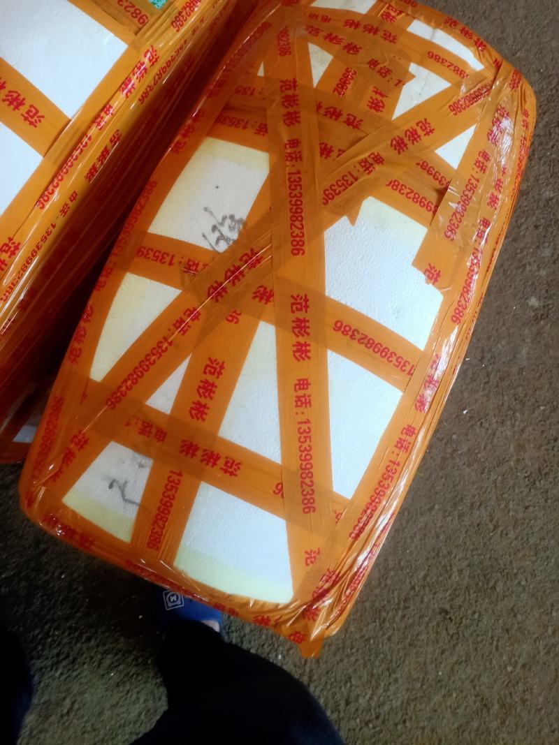 精品韮苔30一35cm产地直发一手货源量大从优欢迎采购