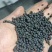生物有机肥提高作物品质抗病抗寒抗旱解磷解钾固氮