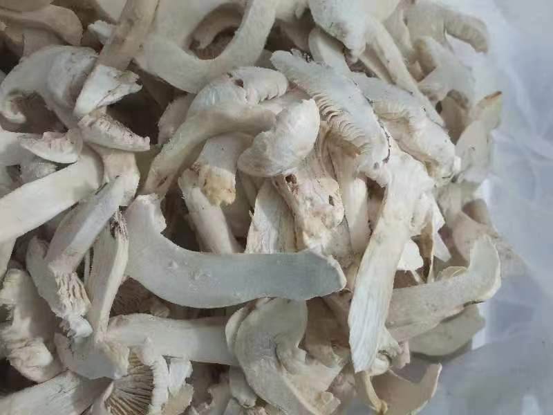 【松茸】松茸速冻片二级三级，量大从优，产地直发高品质