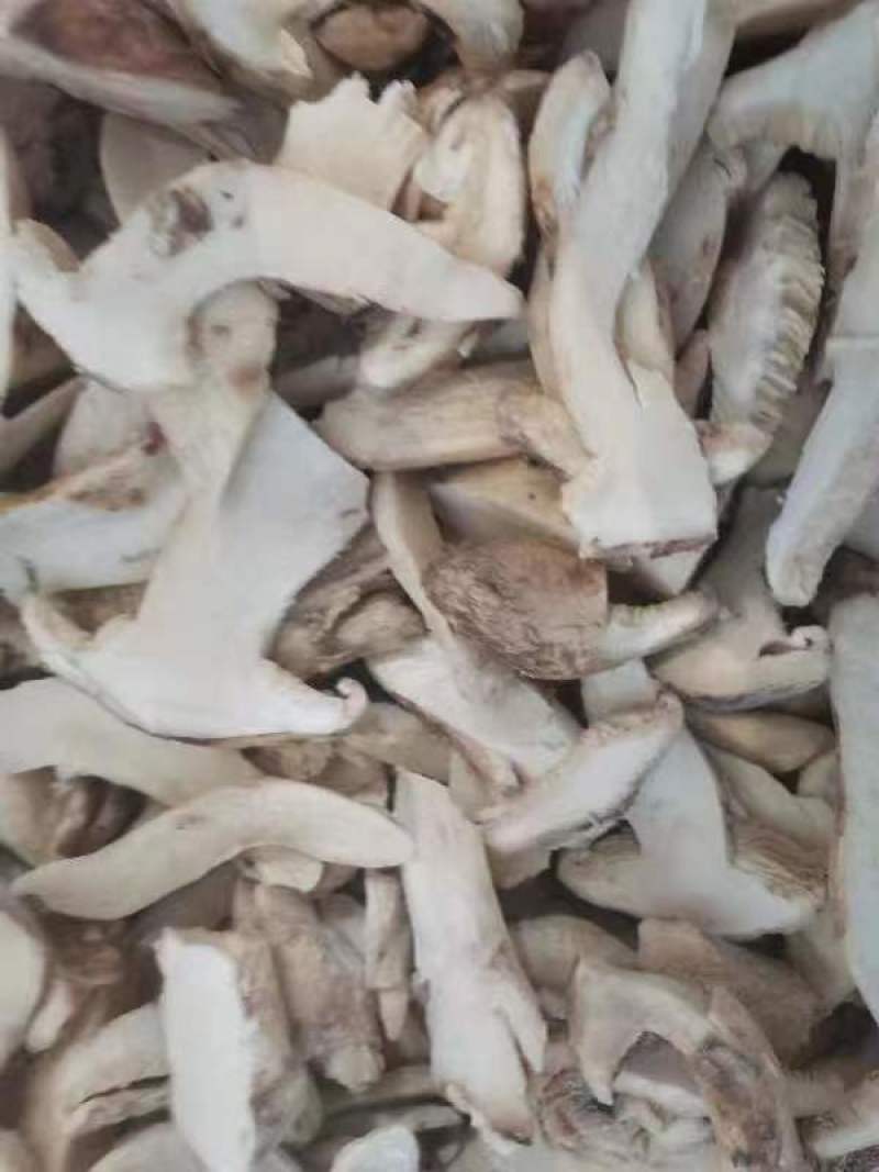 【松茸】松茸速冻片二级三级，量大从优，产地直发高品质
