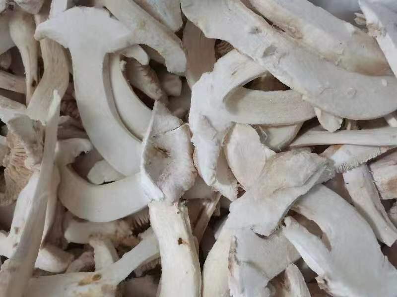 【松茸】松茸速冻片二级三级，量大从优，产地直发高品质