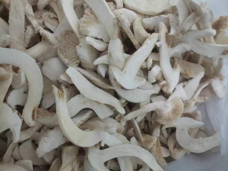 【松茸】松茸速冻片二级三级，量大从优，产地直发高品质