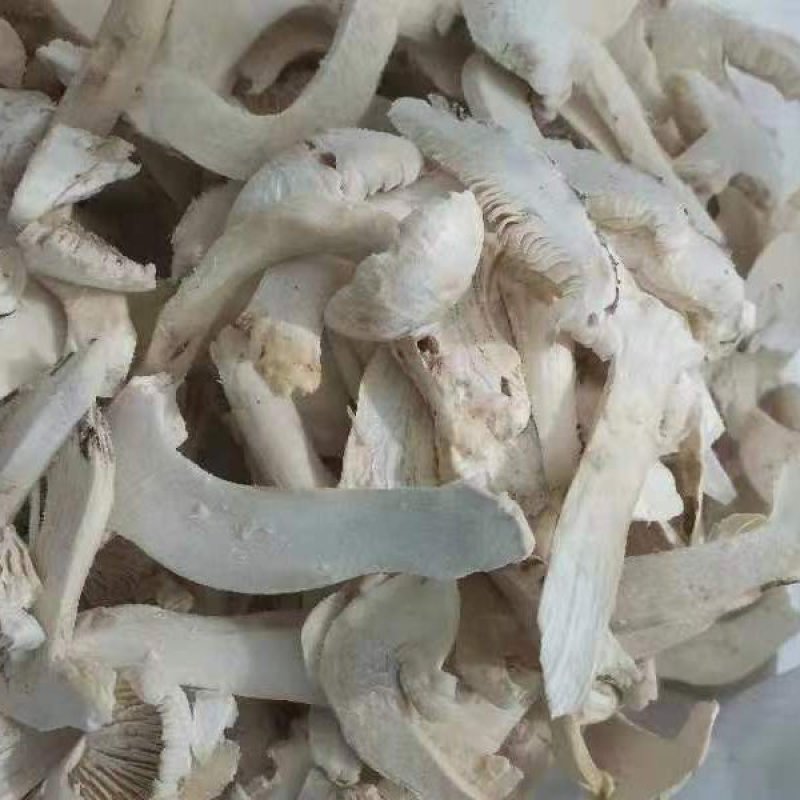 【松茸】松茸速冻片二级三级，量大从优，产地直发高品质