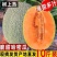 山东正宗头茬小蜜25香瓜，口口脆爽甜如蜜