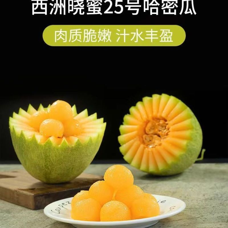 山东正宗头茬小蜜25香瓜，口口脆爽甜如蜜