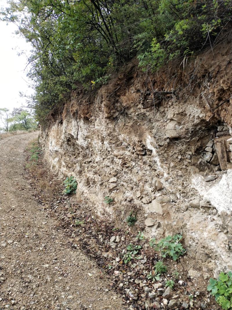 灵宝寺河山老庙土蜂蜜品质保证一首货源支持一件代发