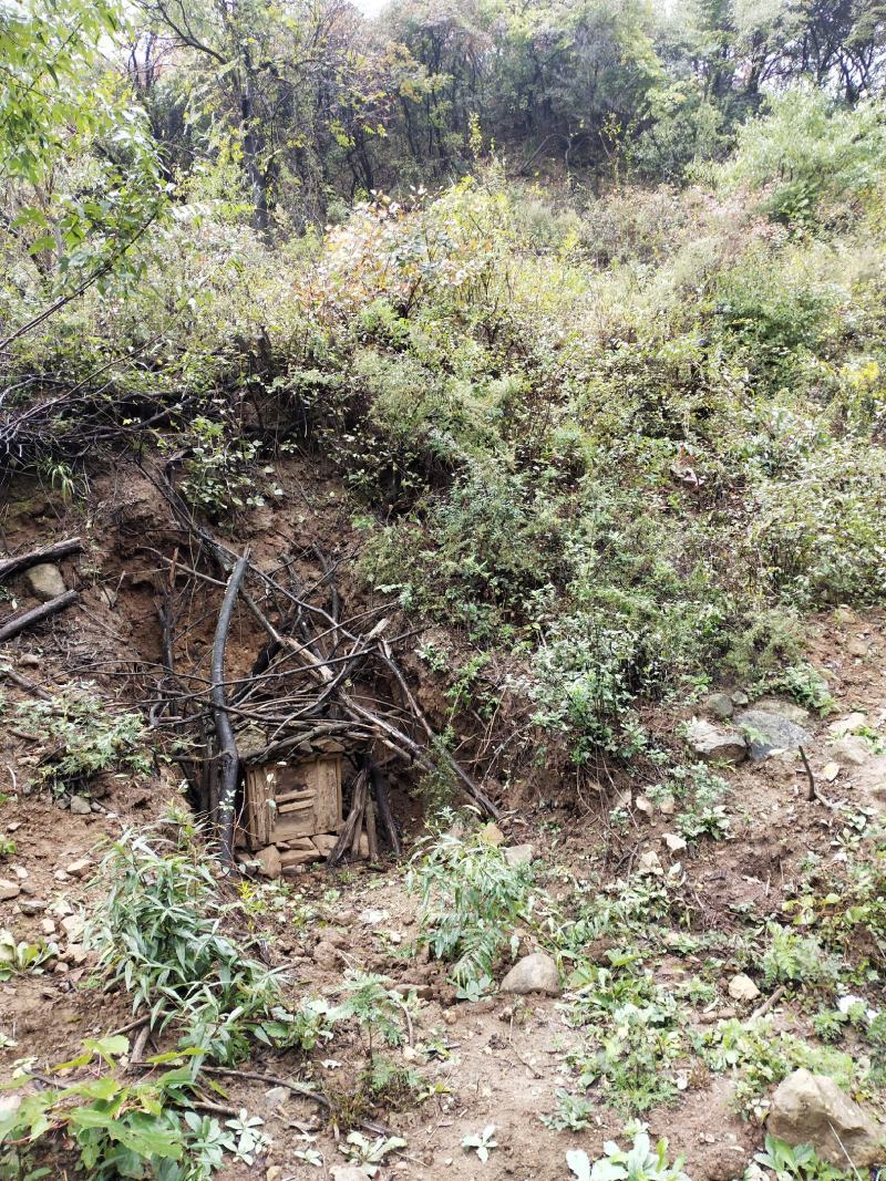 灵宝寺河山老庙土蜂蜜品质保证一首货源支持一件代发