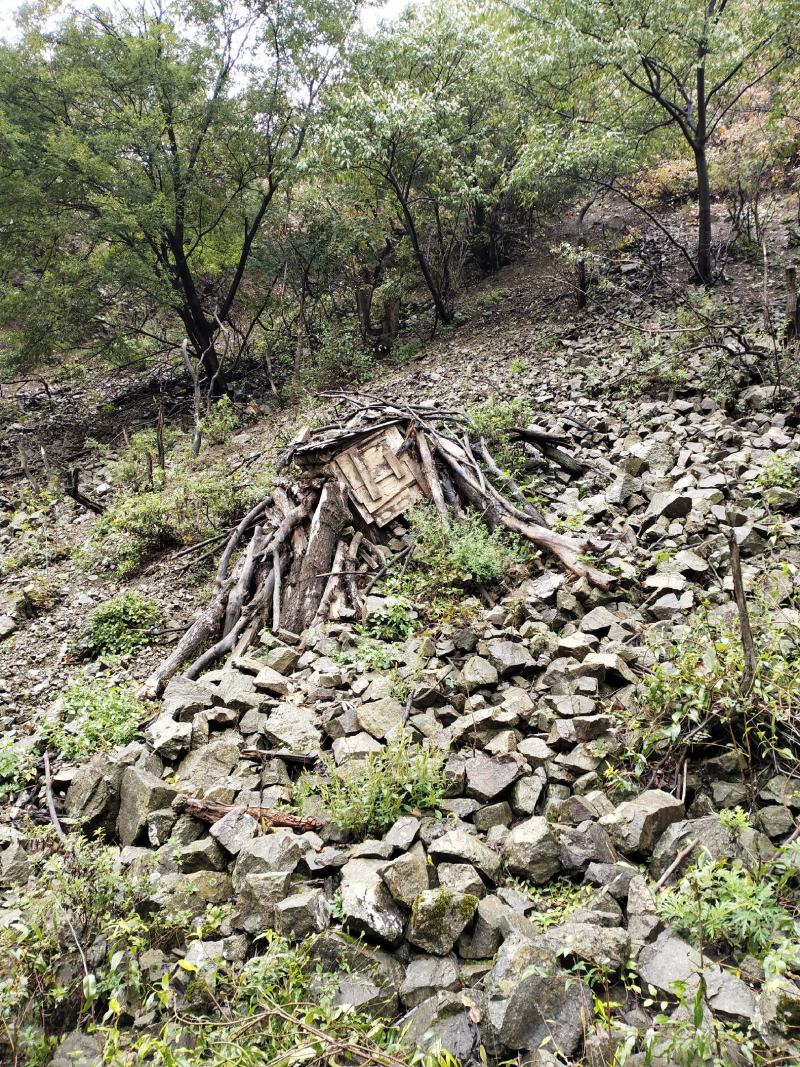 灵宝寺河山老庙土蜂蜜品质保证一首货源支持一件代发