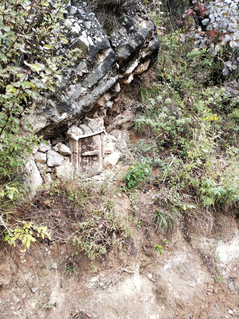 灵宝寺河山老庙土蜂蜜品质保证一首货源支持一件代发