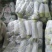 【优质商家】精品西葫芦视频看货无中间商货源充足