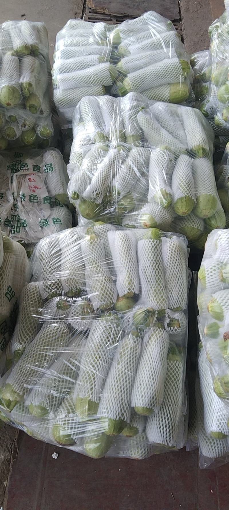 【优质商家】精品西葫芦视频看货无中间商货源充足