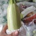 【优质商家】精品西葫芦视频看货无中间商货源充足