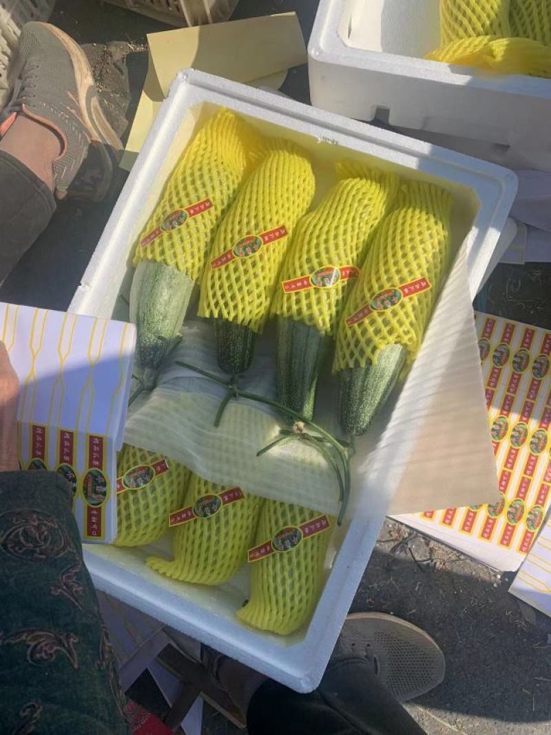 精品羊角蜜原产地直发货量充足，量大优惠，质量保证，全国发