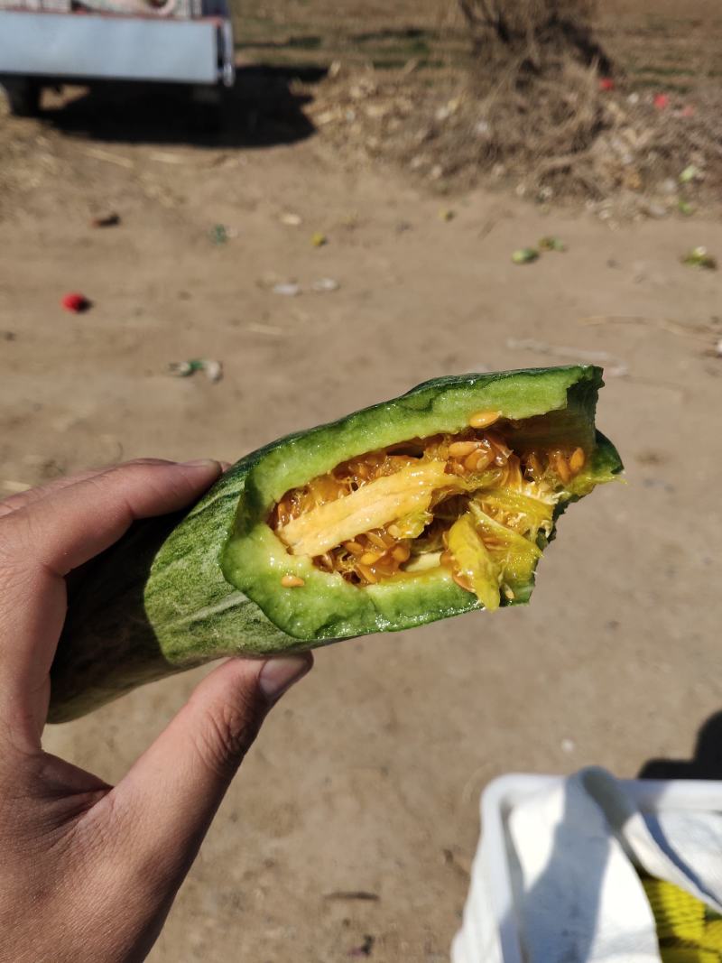 精品羊角蜜原产地直发货量充足，量大优惠，质量保证，全国发