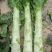 甘肃兰州高原夏菜莴笋即将上市