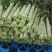 甘肃兰州高原夏菜莴笋即将上市