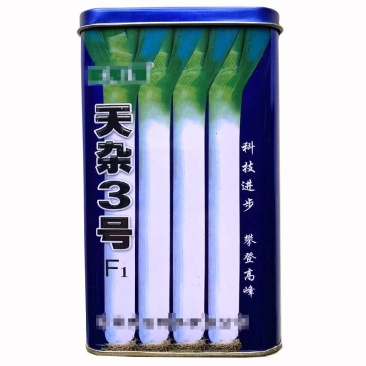 铁杆大葱种天杂三号大葱种子高产三系大葱抗病高产大田专用