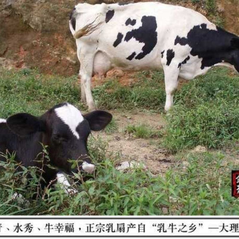 大理清真乳扇小吃奶香特产云南十八怪奶制品