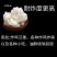 花旗起酥油起酥油炸鸡汉堡店商用食用油烘培油炸起酥用油