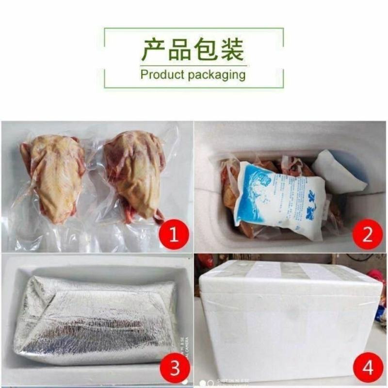 【农家散养】新鲜现杀鸽子肉乳鸽土鸽三年老鸽子煲汤烤乳鸽批