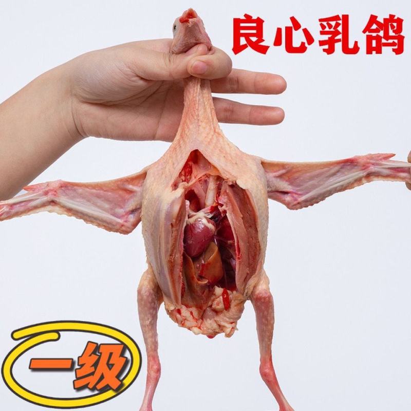 【农家散养】新鲜现杀鸽子肉乳鸽土鸽三年老鸽子煲汤烤乳鸽批
