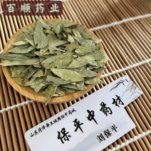 番泻叶中药材番泻叶颜色青产地直销实物拍摄