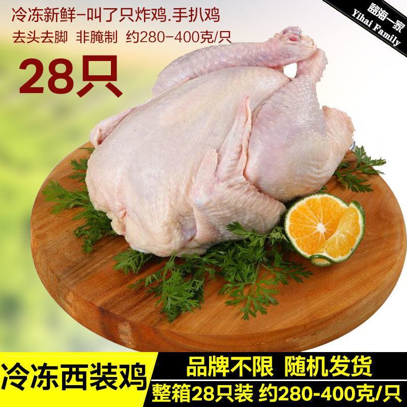 冷冻西装鸡18/20/23/28只开胸童子鸡商用炸鸡汉堡