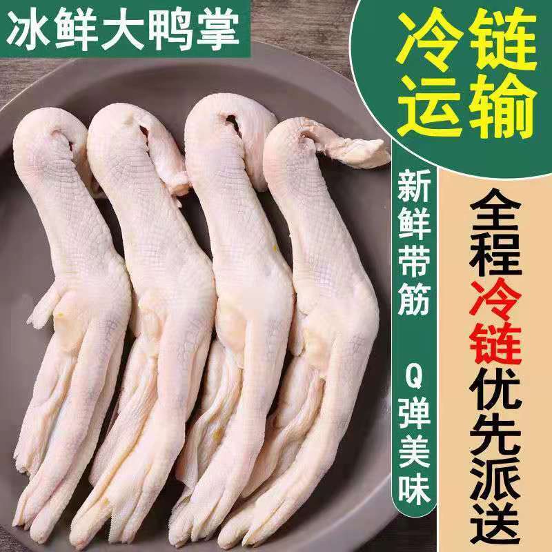 大鸭掌冷冻新鲜鸭爪生鲜鸭脚冻鸭脚冷冻批发商用包邮
