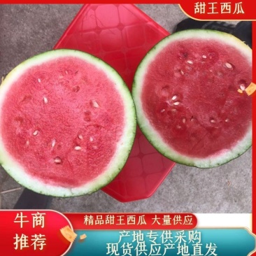 甜王大量上市中产地直发一手货源新地甜王大量供应