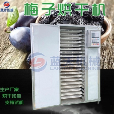 梅子烘干机电加热话梅青梅乌梅西梅烘干箱蜜饯果脯烘干房