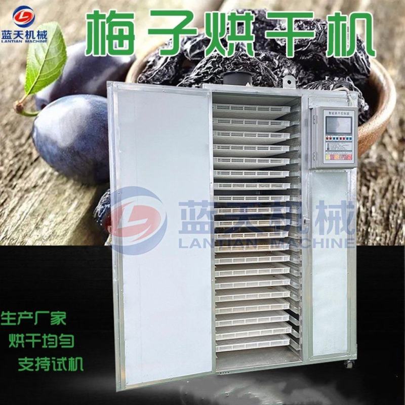 梅子烘干机电加热话梅青梅乌梅西梅烘干箱蜜饯果脯烘干房