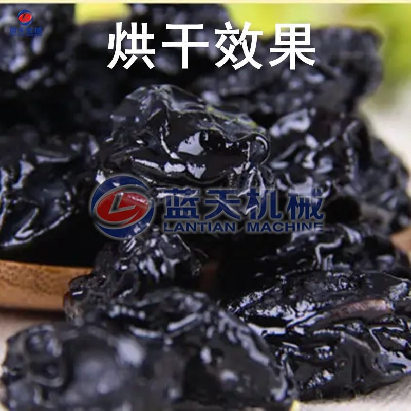 梅子烘干机电加热话梅青梅乌梅西梅烘干箱蜜饯果脯烘干房