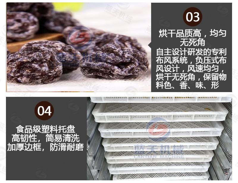 梅子烘干机电加热话梅青梅乌梅西梅烘干箱蜜饯果脯烘干房