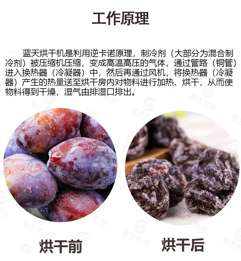 梅子烘干机电加热话梅青梅乌梅西梅烘干箱蜜饯果脯烘干房