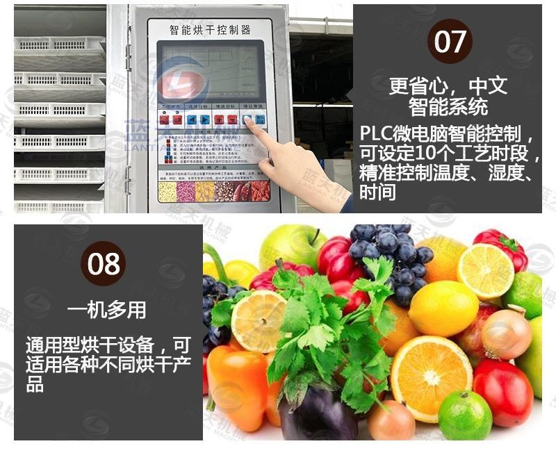 梅子烘干机电加热话梅青梅乌梅西梅烘干箱蜜饯果脯烘干房