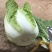 黄心白菜，货源充足，价格实惠，欢迎客商电话咨询
