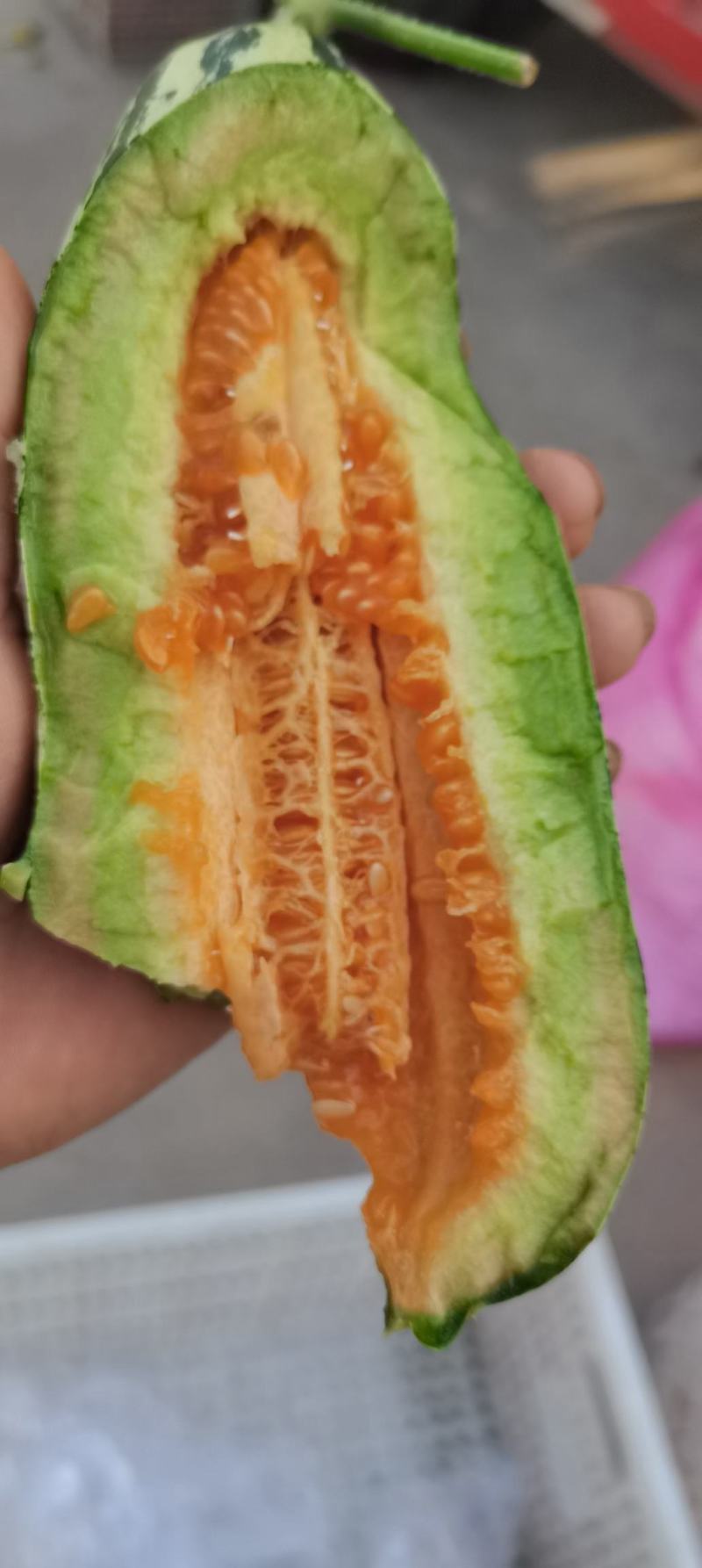 博洋甜瓜，香甜可口大量供应，可对接电商，超市