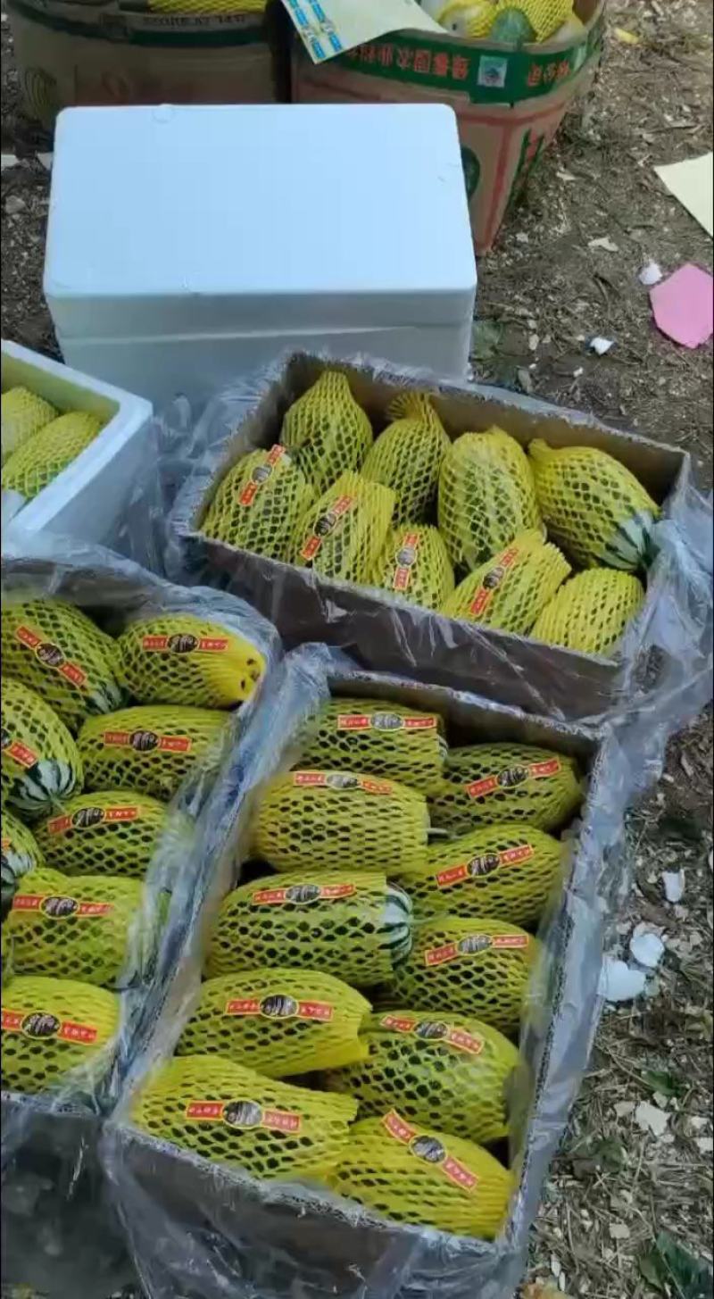 博洋甜瓜，香甜可口大量供应，可对接电商，超市