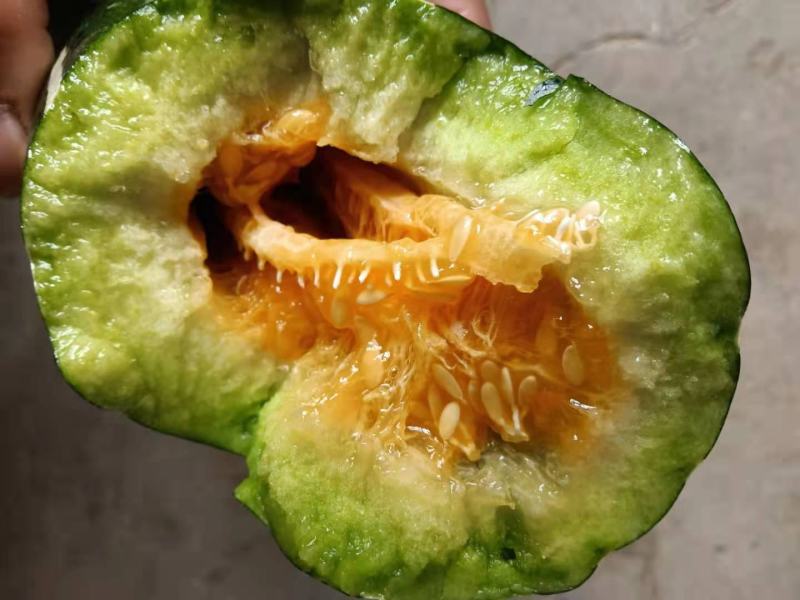 花香蜜甜瓜，产地直供，现场采摘，瓜肉香甜，