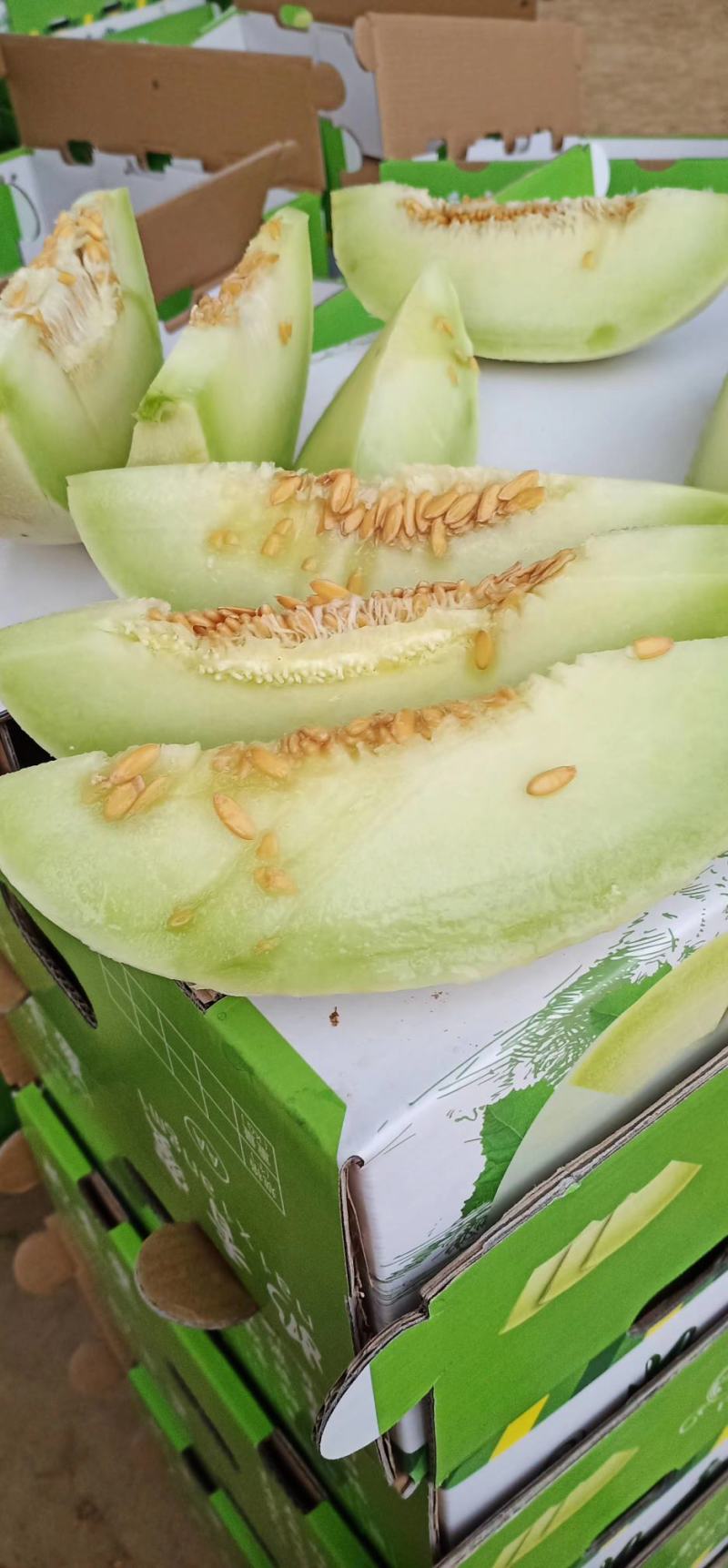 花香蜜甜瓜，产地直供，现场采摘，瓜肉香甜，