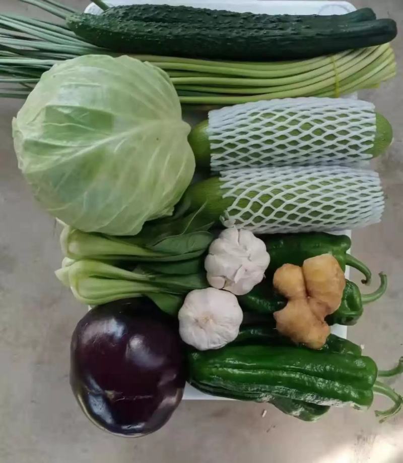蔬菜礼包8-10菜一箱10-13斤可定制基地直发便宜