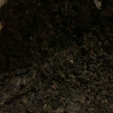 梅干菜2022年新菜浙江梅干菜量大从优