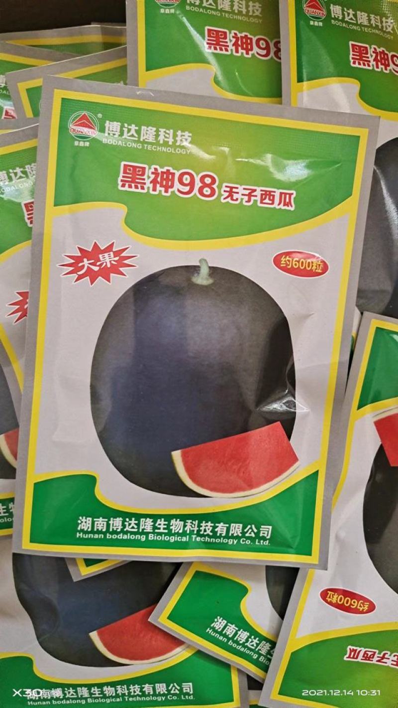 黑神98无籽西瓜种子~高品质不空心不倒瓤耐重茬果型圆正