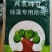 果树青苔药柑橘柚子专用不伤花果嫩芽无刺激专用助剂