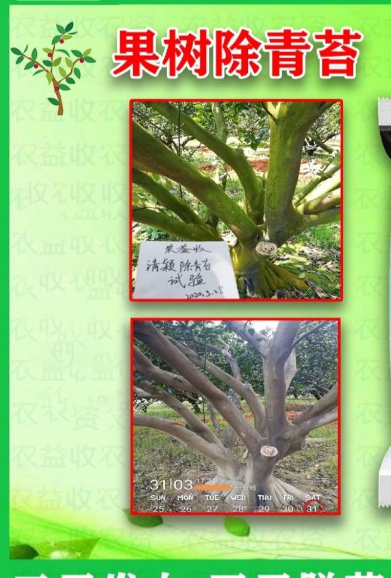 果树青苔药柑橘柚子专用不伤花果嫩芽无刺激专用助剂