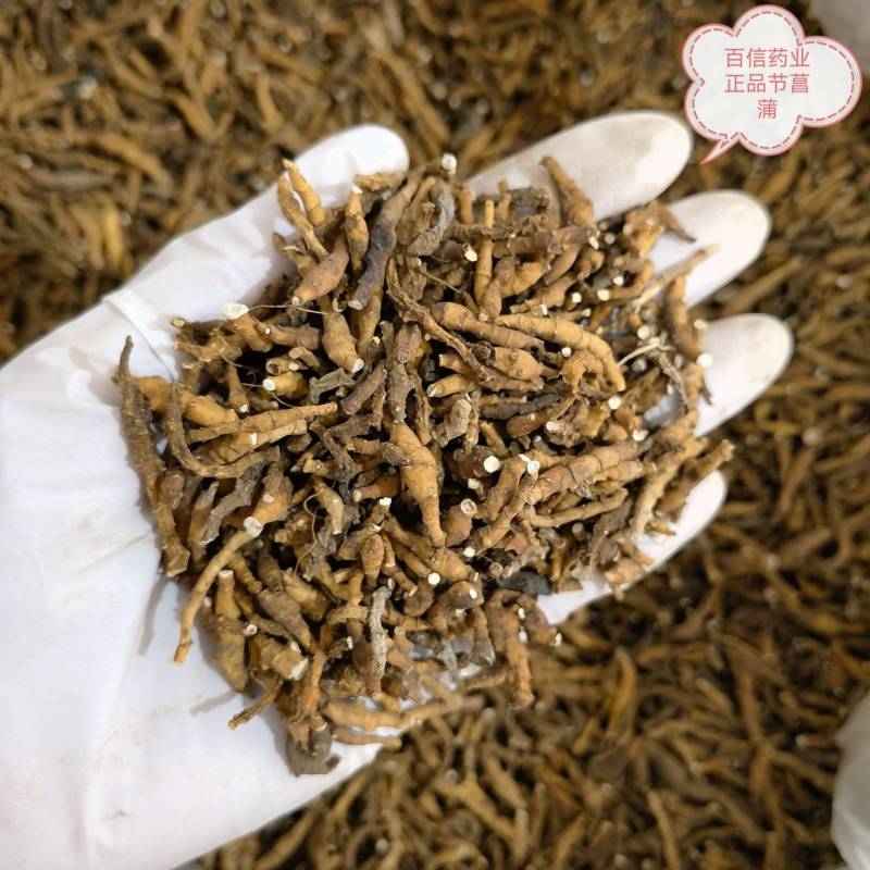 九节菖蒲正品无硫货产地采购一手货源全国发货