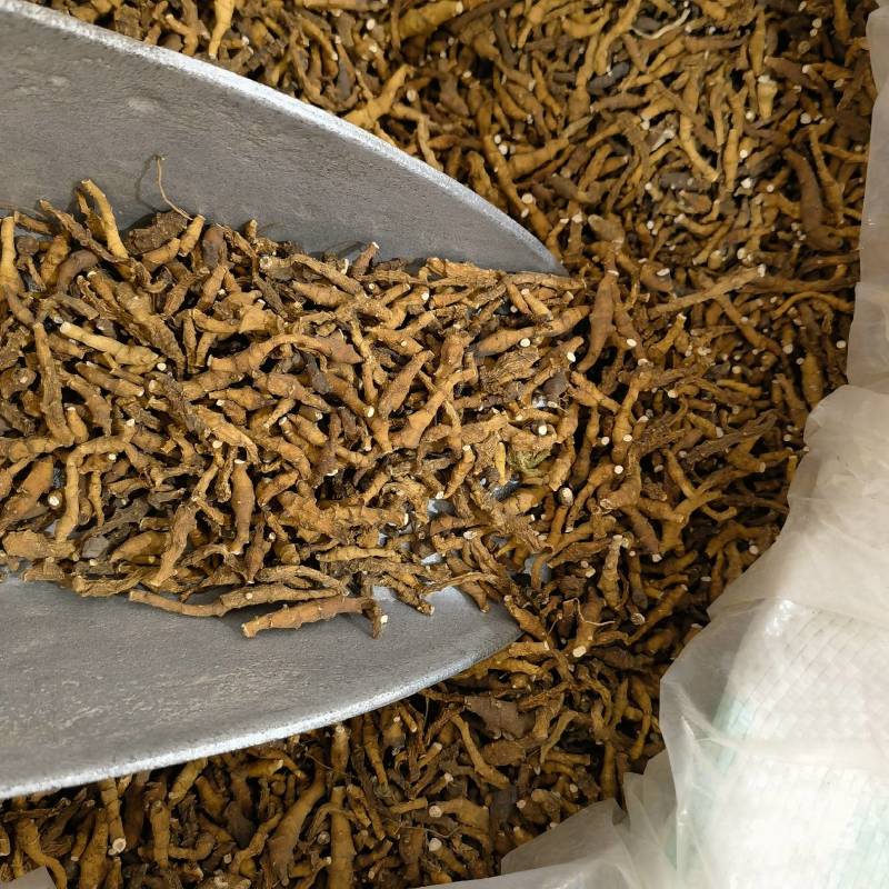 九节菖蒲正品无硫货产地采购一手货源全国发货