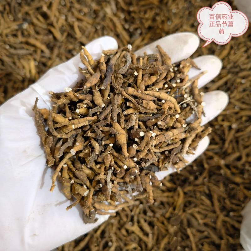 九节菖蒲正品无硫货产地采购一手货源全国发货