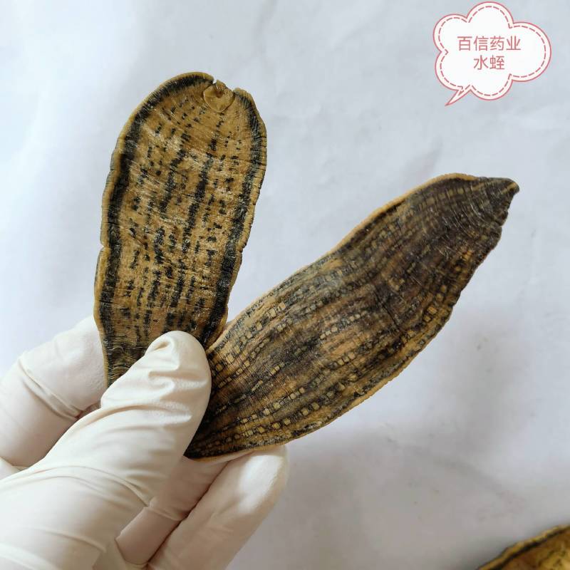 九节菖蒲正品无硫货产地采购一手货源全国发货
